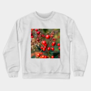 Photography - winter red berry Crewneck Sweatshirt